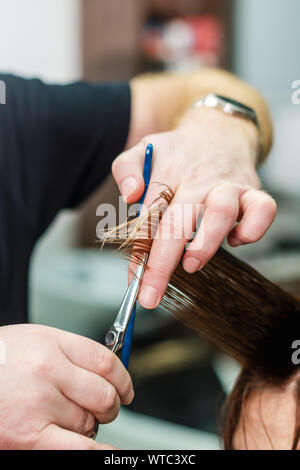 Professionelle friseur Halten in der Hand zwischen den Fingern Verriegelung der rote Haare und schneidet Haare Tipps, Schere Nahaufnahme. Das Loswerden die Split endet Stockfoto