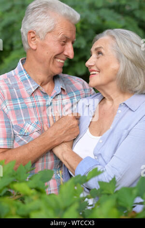 Porträt der Schönen senior Paar huging im Sommer Park Stockfoto