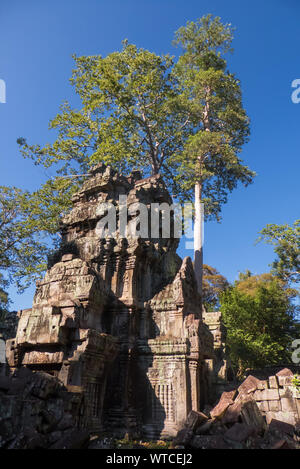 Turm eines zerstörten Sat-Tempel im dritten Gehäuse, Ta Prohm, Angkor, Siem Reap, Kambodscha Stockfoto