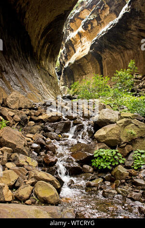 Eine kleine Schnelle in einem saisonalen Stream im Eco Schlucht, ein Slot Canyon in Clarens Sandstein, in der Golden Gate National Park, Südafrika fotografiert. Stockfoto