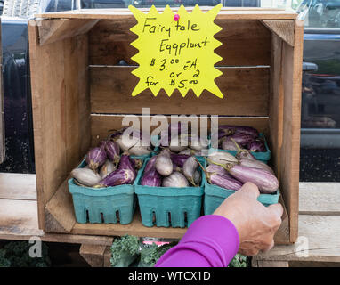 Hand erreichen in den kleinen bunten Märchen auberginen am Bauernmarkt zu Kauf mit einem Preis Zeichen Stockfoto