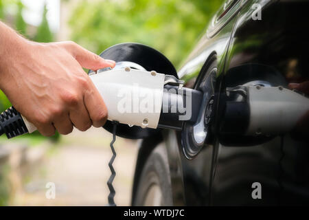 Mans Hand einfügen Ladestecker in elektrische Auto in grüner Umgebung. Neue Energie Fahrzeug, NEV wird mit Strom Strom geladen. Eg Stockfoto