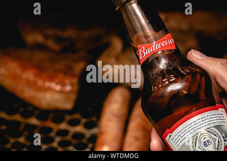 Brasília, Federal District - Brasilien. Circa 2019. Foto von einem Mann hält eine Flasche Budweiser Bier. Stockfoto