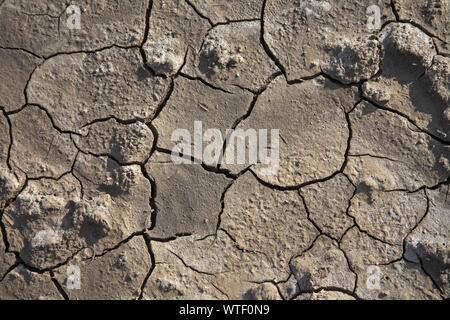 Risse im Schlamm Castro Marim Naturschutzgebiet Algarve Portugal Stockfoto