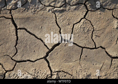 Risse im Schlamm Castro Marim Naturschutzgebiet Algarve Portugal Stockfoto