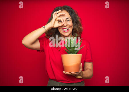 Mittleren Alters ältere Frau mit grünen Kaktus über Rot isoliert Hintergrund mit glücklichen Gesicht lächelnd tun ok Zeichen mit der Hand am Auge durch finge Stockfoto