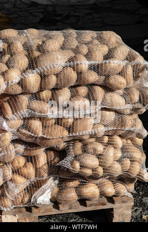 Frische Kartoffeln auf Mesh bag bei Farmers Market von Galicien, Spanien Stockfoto