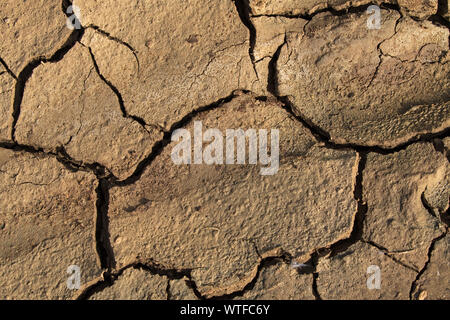 Risse im Schlamm Castro Marim Algarve Portugal Februar 2017 Stockfoto