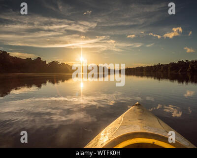 Amazonia. Sonnenuntergang Blick vom Kajak aus gesehen. Nasenbär Lagune in der Nähe des Flusses Javari, den Nebenfluss des Amazonas. Selva an der Grenze von Brasilien und Pe Stockfoto