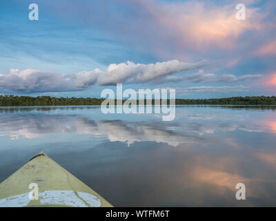 Amazonia. Sonnenuntergang Blick vom Kajak aus gesehen. Nasenbär Lagune in der Nähe des Flusses Javari, den Nebenfluss des Amazonas. Selva an der Grenze von Brasilien und Pe Stockfoto