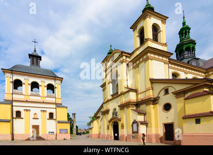 Iwano-frankiwsk: Stiftskirche (links), Precarpathian Art Museum (ehemalige Pfarrkirche Jungfrau Maria), Sheptytsky Platz, Oblast Iwano-frankiwsk, Ukr Stockfoto