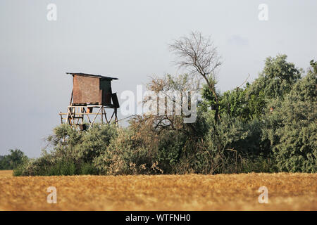 Tower für die Fotografie von Red-footed Falken verstecken, Turmfalken und Walzen in der Nähe Tiszaalpar Ungarn Stockfoto