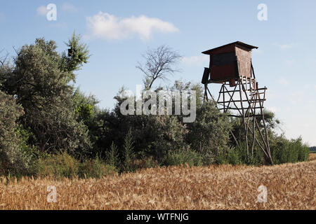 Tower für die Fotografie von Red-footed Falken verstecken, Turmfalken und Walzen in der Nähe Tiszaalpar Ungarn Stockfoto