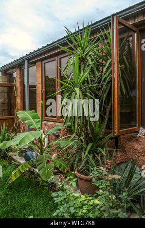 Gemütliche Ecke in der Terrasse mit Veranda der Sommerküche unter Pflanzen in Töpfen und antike Küchengeräte mit Tonkrüge gegen die Wand unter Stockfoto