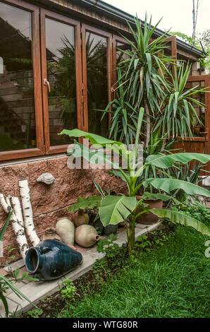 Eintritt in die verglaste Sommerküche auf der Terrasse unter den Zierpflanzen Palmen und alten Tonkrüge gegen die Wand unter dem Fenster