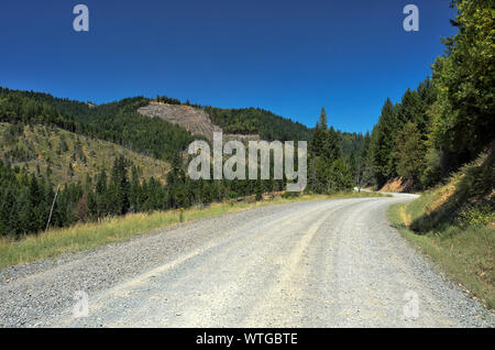 Ein kies Protokollierung Straße läuft aber durch BLM (US Büro des Land-Managements) Ländern, in der Nähe von Grants Pass, Oregon, mit Blick auf die klaren Wälder. Stockfoto