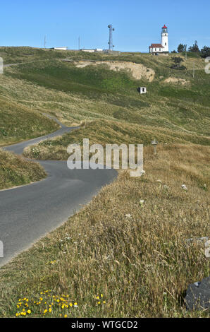 Oder: Curry County, Nördliche Curry County Coast, Kap Blanco, Cape Blanco State Park. Schmale Straße führt durch Wiesen zum Cape Blanco Lighthouse [ Stockfoto