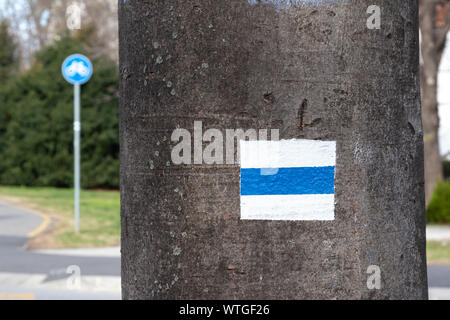 Blue Line Wanderweg Schild gemalt auf einem Baumstamm am Deák tér (Deák Platz), Sopron, Ungarn. Bike Trail Verkehrsschild unscharf im Hintergrund. Stockfoto