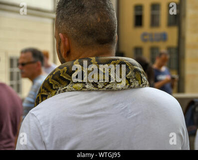 Prag, tschechische Republik - AUGUST 2018: Person im touristischen Zentrum von Prag Stadtzentrum mit. Python um den Hals Stockfoto