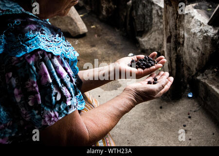 Frau Sortieren Kaffeebohnen in Guatemala Stockfoto