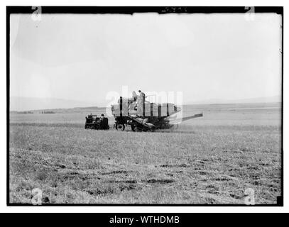Moderne Harvester auf der Ebene von Esdraelon. 26. Mai 1935 Stockfoto