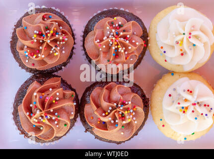 Cupcakes auf einem Lavendel Keramik Fach von oben gesehen. Mehrfarbige Cupcakes mit rotem Samt, Vanille, Schokolade, Zitrone und Erdbeere Aromen Stockfoto