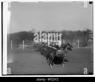 Monkey Bohren, Ft. Myer, 3/13/29. Stockfoto