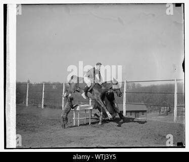 Monkey Bohren, Ft. Myer, 3/13/29. Stockfoto