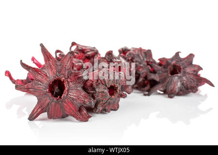 Menge ganz süßen roten kandierten Hibiskus auf weißem Hintergrund Stockfoto