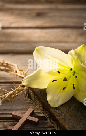 Studio geschossen von yellow easter Lily auf Bibel Stockfoto