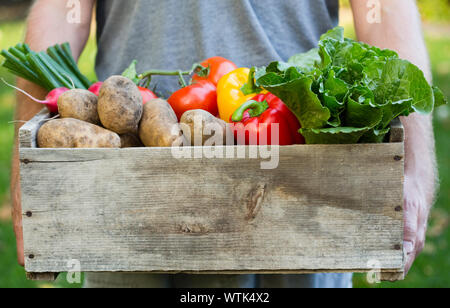 Mann hält Holzkiste mit Gemüse Stockfoto