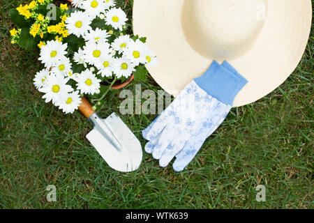 Eingemachte Blumen und Garten Handschuhe und Mütze auf Gras Stockfoto