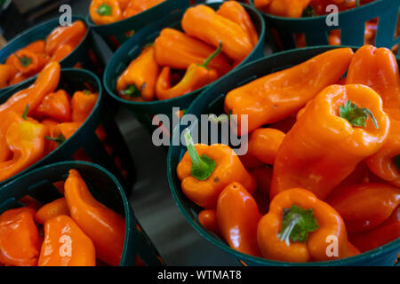 Orangefarbene Paprika in Körben, die auf einem lokalen Bauernmarkt verkauft werden Stockfoto