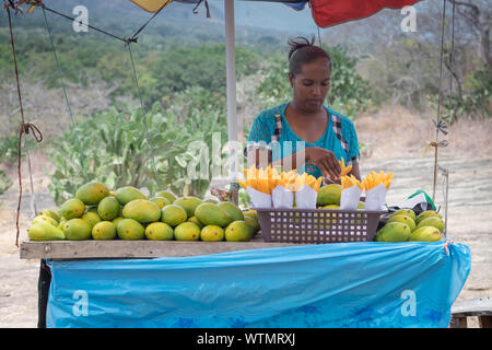 SIGIRIYA/SRI LANKA, AUGUST 06-2019: Unspezifische Frau Verkauf der Mango auf den Tisch, es ist ein lokaler Anbieter in Sri Lanka. Stockfoto