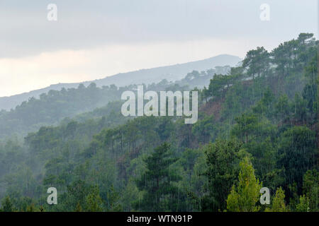 Sommer Regensturm in der Troödos mountain range, Pano Platres, Limassol, Zypern Stockfoto