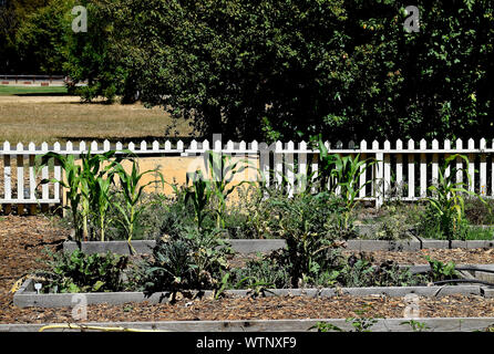 Garten Ardenwood Historic Farm, Fremont, Kalifornien Stockfoto