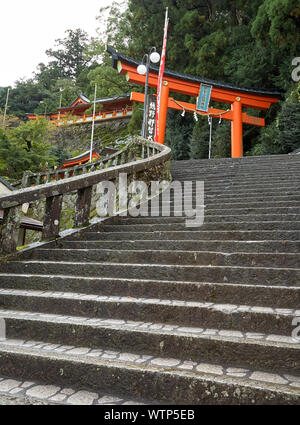 SHINGU, Japan - 27. Oktober 2007: Die Steintreppe, die bis zu den torii Tor am Eingang zum kumano Hayatama Taisha Shinto Schrein. Wakayama. Stockfoto