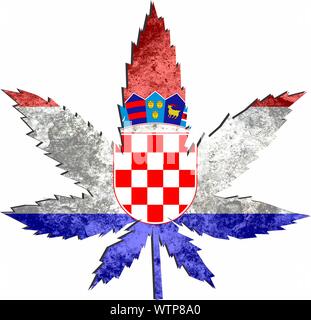Unkraut in den Farben der Flagge Kroatien Stockfoto