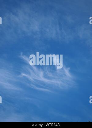 Cirrostratus Cloud auf der schönen blauen Himmel, flauschige Wolken Formationen im Tropical Zone Stockfoto