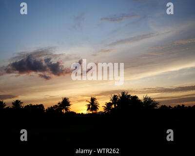 Silhouette der Kokospalme mit schwarz und orange Farbe flauschigen Wolke bei Sonnenuntergang, weiße Zuckerwatte Wolken auf die tropischen blauen Himmel bei Nacht, Thailand Stockfoto