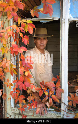 Die alten Cottage auf einer Station in New South Wales Stockfoto