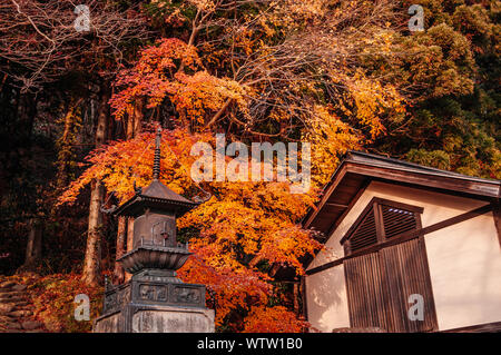 Schöne lebendige Bunte rot orange gelb Blätter Laub Ahorn und bronze Pagode der Yamadera Risshaku ji-Tempel im Herbst Jahreszeit - Yamagata, Stockfoto