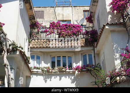 Typische italienische Balkons mit Blumen von einem alten Haus in Tropea, Kalabrien, Italien im August 2019 Stockfoto