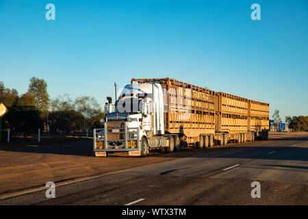 Ein road train im australischen Outback geladen mit Vieh Stockfoto