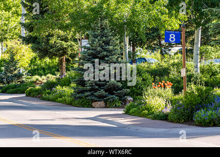 Aspen, USA - Juni 24, 2019: Snowmass Village Stadt in Kolorado Innenstadt mit Parkplatz in der oberen Stadt mit Blumen und leere Straße Straße Stockfoto