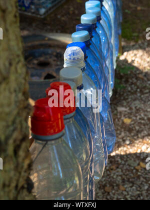 Zusammensetzung mit Kunststoff Flaschen Mineralwasser. Kunststoffabfälle Konzept Stockfoto