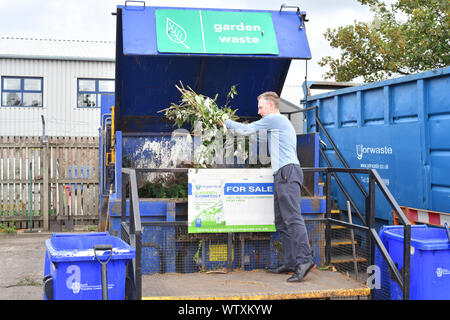 Mann, der Garten Stecklinge für Recycling in Kompost auf Haushalts Recycling center Vereinigtes Königreich Stockfoto