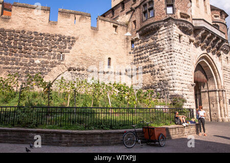 Grapevine am historischen Stadttor Severinstorburg am Chlodwig Platz im südlichen Teil der Stadt, Köln, Deutschland. Weinreben an der Severins Stockfoto