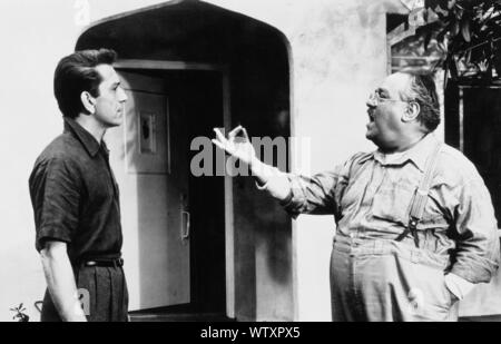 Voller Leben aka alle Sehnsucht of this Welt, USA, 1956, Regie: Richard Quine, Darsteller: Judy Holliday, Richard Conte, Salvatore Baccaloni Stockfoto