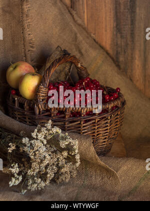 Schönen Herbst noch Leben mit saftigen Äpfeln, roten Beeren und weiße Blumen in warmes Abendlicht Stockfoto